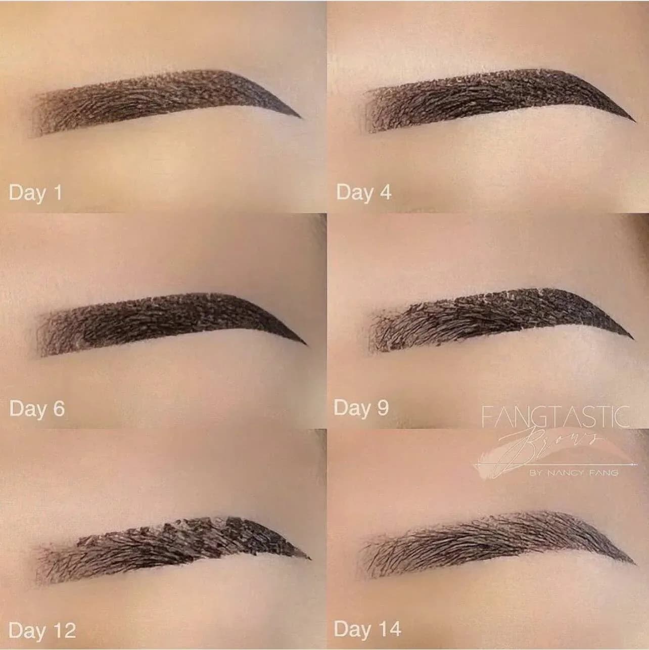 PMU training in studio